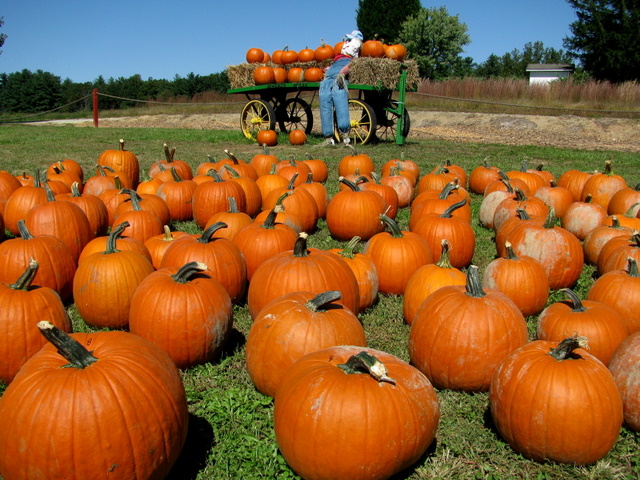 5 ways to a healthier Halloween your kids will love